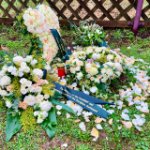 das zu meldende Bild